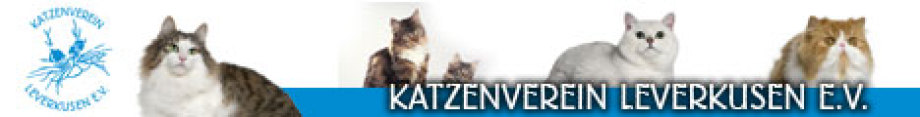 Katzenverein Leverkusen