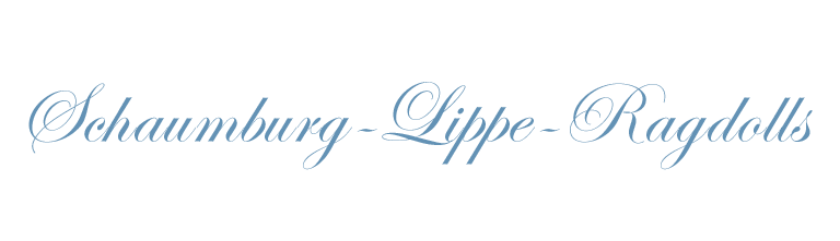 Schaumburg-Lippe-Ragdolls
